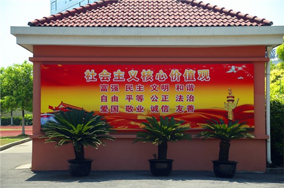 校园文化建设